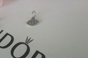 new pandora charm/pendant charm