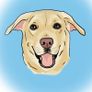 Digital Pet Portraits from your photographs! Image 2