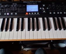 Behringer Deepmind 12