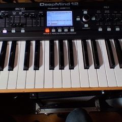 Behringer Deepmind 12