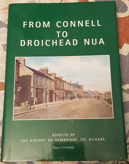 From Connell To Droichead Nua: Aspects Of The History Of Newbridge, Co. Kildare by Mary Connolly