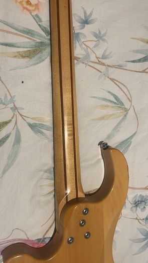 traben Array limited edition bass with case