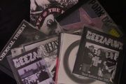 Underground Punk Rock Collection (12 CDs + 1 DVD)