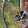 Disc Wheelset Image 4