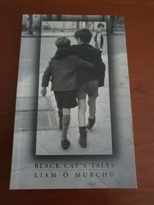Black Cat's Tales by Liam O'Murchu.