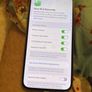 iphone Image 6
