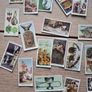 Tobacco Card, Churchman, TREASURE TROVE, 1937 set of 50 Image 5
