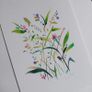 Two Original Watercolour paintings Image 3