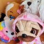 11 cute pups & dogs Image 6