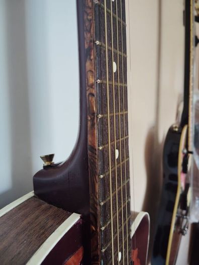 very rare semi acoustic guitar