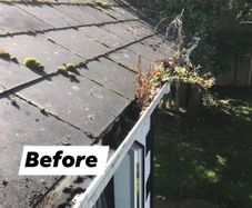 Gutter Cleaning