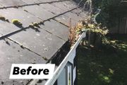Gutter Cleaning
