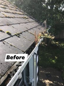 Gutter Cleaning