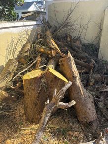 FREE Firewood