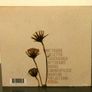 Gypsy Tailwind Grace CD Album Image 3