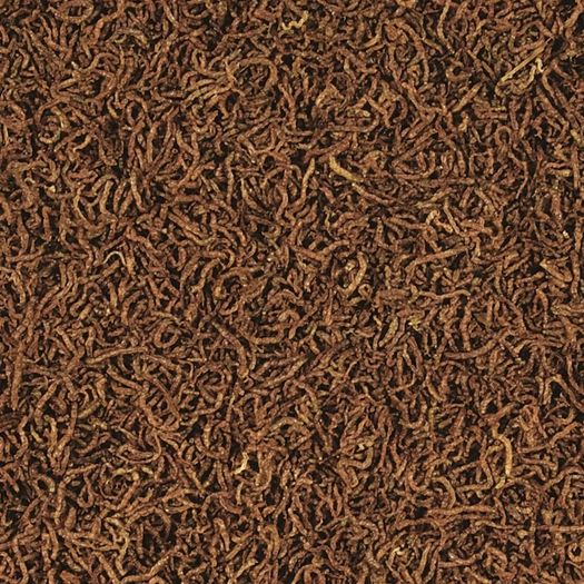 Tropical FD Blood Worms 250ML/17G