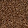 Tropical FD Blood Worms 250ML/17G Image 2