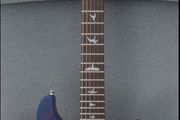 Prs Se Custom