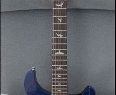 Prs Se Custom