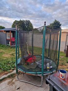 Free Trampoline