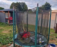 Free Trampoline