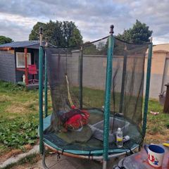 Free Trampoline