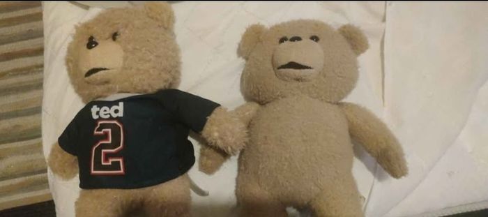 ted 1 and 2