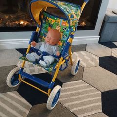 doll and buggy