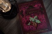 A Field Guide To Fairies ! Beautiful Pop-up Book ! Hardcover ! 2009 ! by Kingfisher !