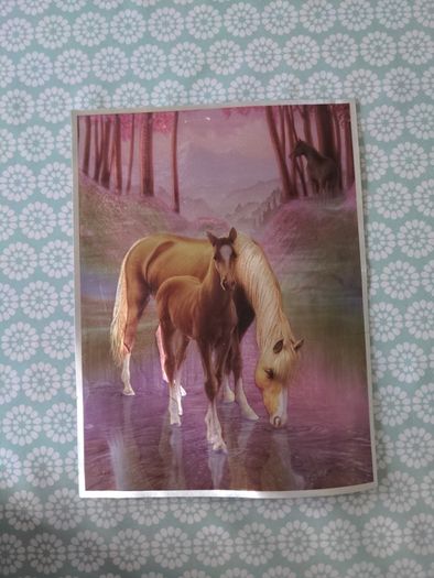 Horse prints
