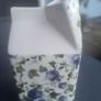 carton jug Image 3