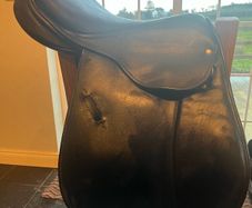 Saddle