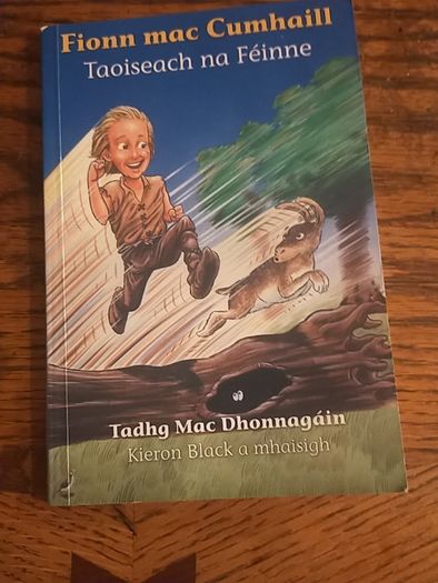 Kids Irish books individually priced