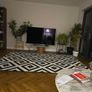 Ikea Rug Image 3
