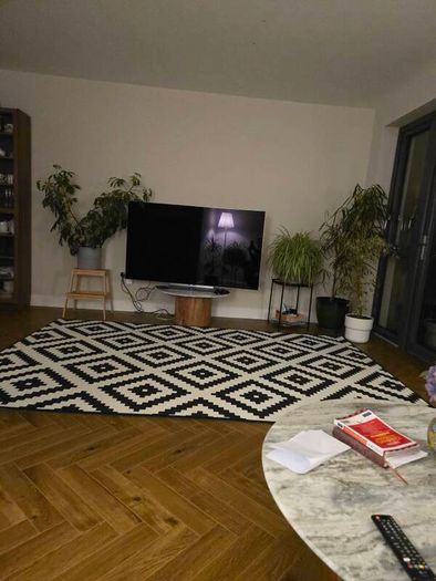 Ikea Rug