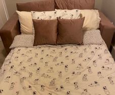 Pink Velvet Pull Out Sofa Bed