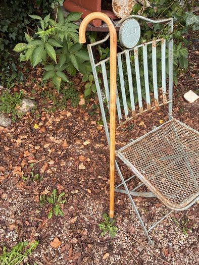 Bamboo horse measuring walking stick