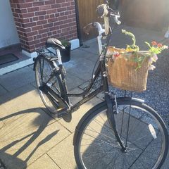 Dawes Ladies City Bike