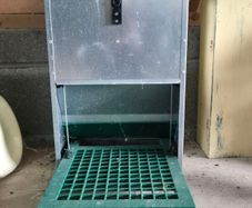Feed-O-Matic Chicken Feeder