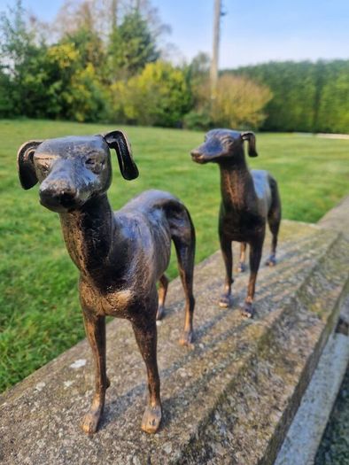 Pair of greyhounds