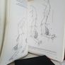 Recherches, Biologiques, Contemporaines: Ouvrage dedie a la memoire du Dr Manfred Gabe (1916-1973) (RB455) Image 4