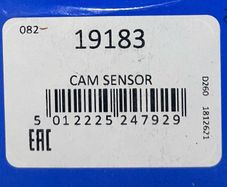 Camshaft Position Sensor