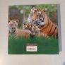 Dublin Zoo - An Illustrated History by Catherine De Courcy Image 2
