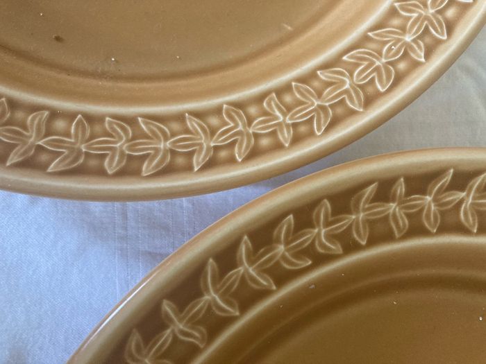 Portmeirion Botanic Garden Harmony Amber Deep Dinner Plate 26.5 cm