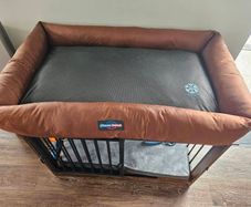 dog bed