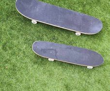 skate board