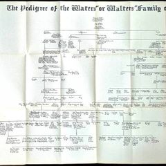 1939 Signed First Edition. The Waters Family of Cork, Dr. Eaton W. Waters. Irish Genealogy, Cork, Walters, Family History, Privately Printed, Association Copy, Antiquarian, Pedigree Chart, Anglo-Irish, Conna, Munster, Guy & Co Cork city, Monograph.