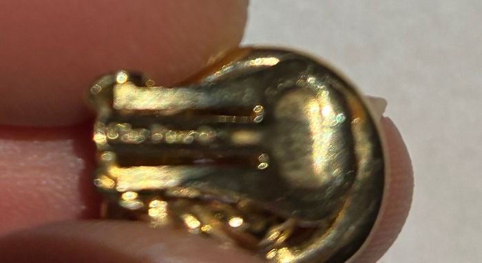Christian Dior Earrings