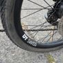 Fiido d11 folding e-bike Image 4