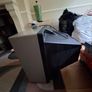 Free TV Image 2